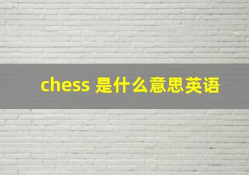 chess 是什么意思英语